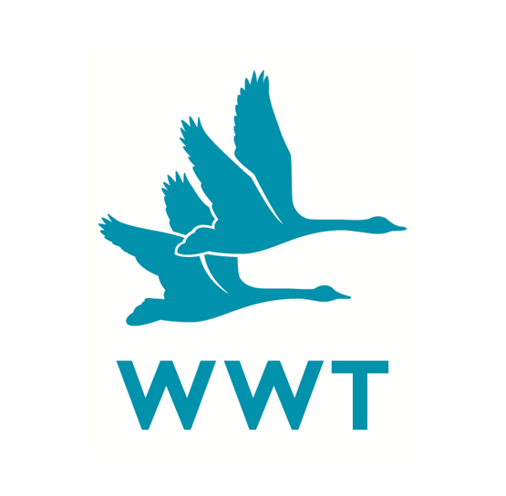 wwt